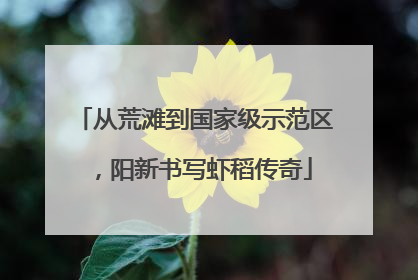 从荒滩到国家级示范区，阳新书写虾稻传奇