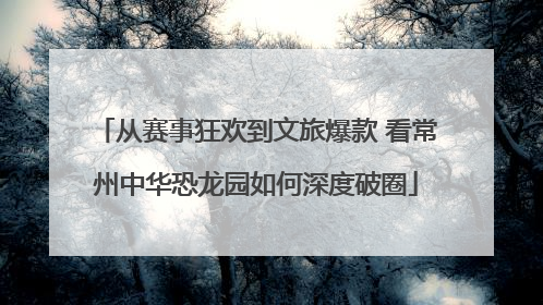从赛事狂欢到文旅爆款 看常州中华恐龙园如何深度破圈