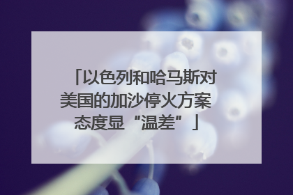 以色列和哈马斯对美国的加沙停火方案态度显“温差”