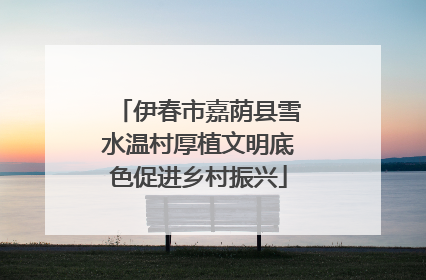 伊春市嘉荫县雪水温村厚植文明底色促进乡村振兴
