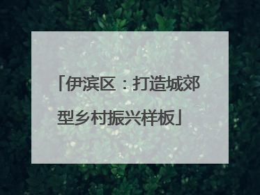 伊滨区：打造城郊型乡村振兴样板