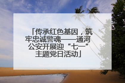 传承红色基因，筑牢忠诚警魂——通河公安开展迎“七一”主题党日活动