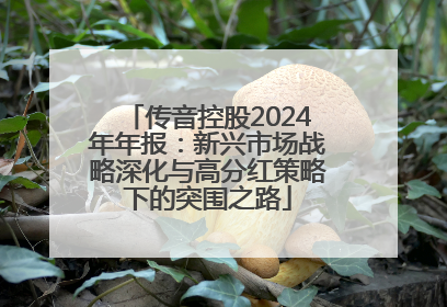 传音控股2024年年报：新兴市场战略深化与高分红策略下的突围之路