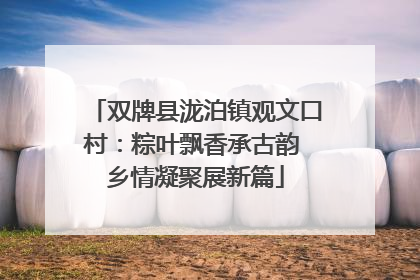 双牌县泷泊镇观文口村：粽叶飘香承古韵 乡情凝聚展新篇