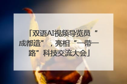 双语AI视频导览员“成都造”，亮相“一带一路”科技交流大会