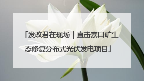 发改君在现场｜直击寨口矿生态修复分布式光伏发电项目