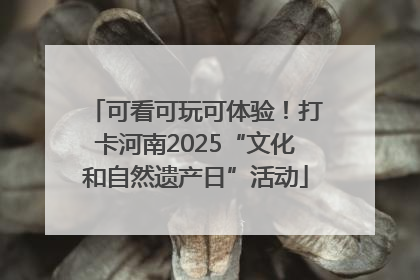 可看可玩可体验！打卡河南2025“文化和自然遗产日”活动