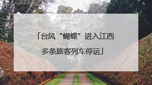 台风“蝴蝶”进入江西 多条旅客列车停运