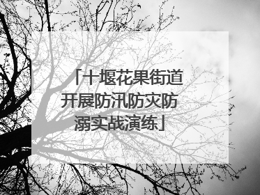 十堰花果街道开展防汛防灾防溺实战演练