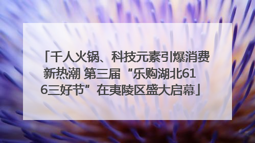 千人火锅、科技元素引爆消费新热潮 第三届“乐购湖北616三好节”在夷陵区盛大启幕