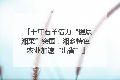 千年石羊借力“健康湘菜”突围，湘乡特色农业加速“出省”