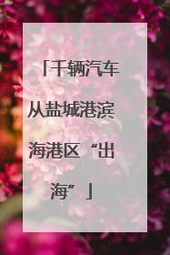 千辆汽车从盐城港滨海港区“出海”