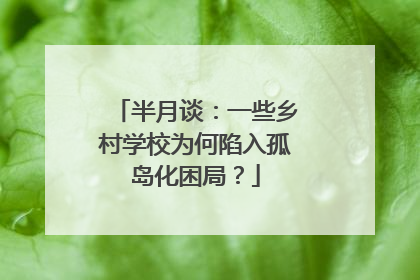 半月谈：一些乡村学校为何陷入孤岛化困局？