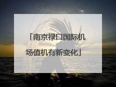 南京禄口国际机场值机有新变化