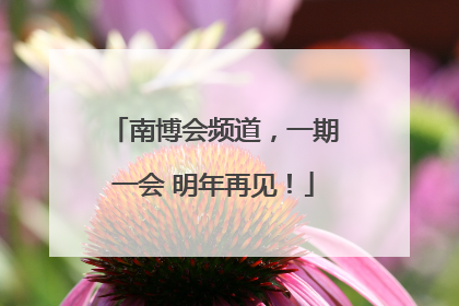南博会频道，一期一会 明年再见！