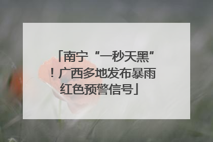 南宁“一秒天黑”！广西多地发布暴雨红色预警信号