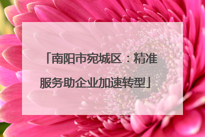 南阳市宛城区：精准服务助企业加速转型