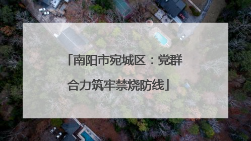 南阳市宛城区：党群合力筑牢禁烧防线