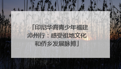 印尼华裔青少年福建漳州行：感受祖地文化和侨乡发展脉搏