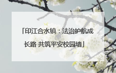 印江合水镇：法治护航成长路 共筑平安校园墙