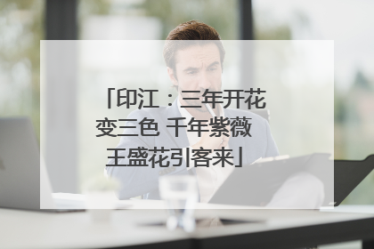 印江：三年开花变三色 千年紫薇王盛花引客来