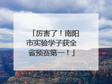 厉害了！南阳市实验学子获全省预赛第一！