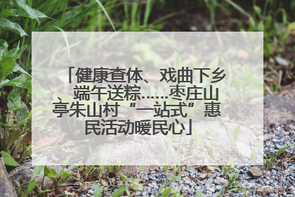 健康查体、戏曲下乡、端午送粽……枣庄山亭朱山村“一站式”惠民活动暖民心