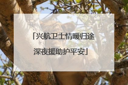 兴航卫士情暖归途 深夜援助护平安