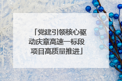 党建引领核心驱动庆章高速一标段项目高质量推进