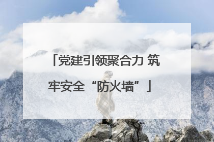 党建引领聚合力 筑牢安全“防火墙”