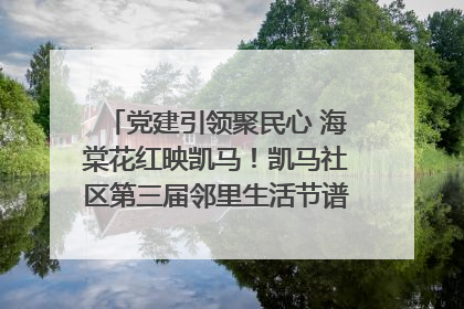 党建引领聚民心 海棠花红映凯马！凯马社区第三届邻里生活节谱写幸福新篇章