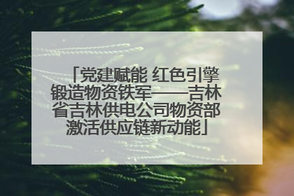 党建赋能 红色引擎锻造物资铁军——吉林省吉林供电公司物资部激活供应链新动能