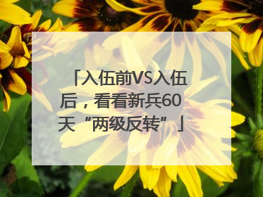 入伍前VS入伍后，看看新兵60天“两级反转”