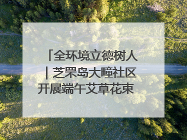 全环境立德树人｜芝罘岛大疃社区开展端午艾草花束DIY活动