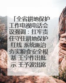 全省耕地保护工作电视电话会议强调：扛牢责任守住耕地保护红线 系统施治夯实粮食安全根基 王宁作出批示 王予波出席并讲话