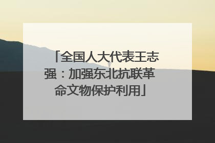 全国人大代表王志强：加强东北抗联革命文物保护利用
