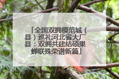 全国双拥模范城（县）巡礼河北省大厂县：双拥共建结硕果 蝉联殊荣谱新篇