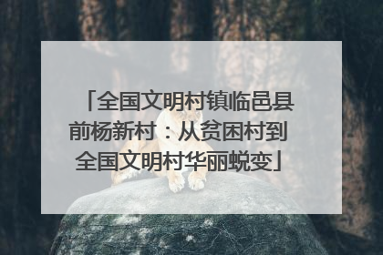 全国文明村镇临邑县前杨新村：从贫困村到全国文明村华丽蜕变