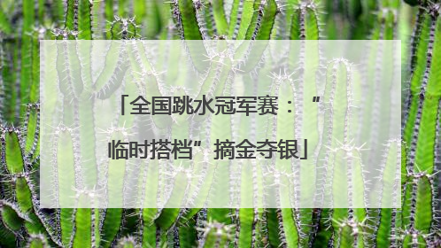 全国跳水冠军赛：“临时搭档”摘金夺银