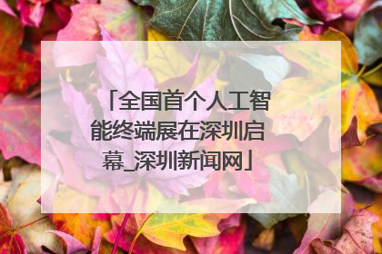 全国首个人工智能终端展在深圳启幕_深圳新闻网