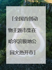 全国首创动物主题市集在哈尔滨极地公园火热开市
