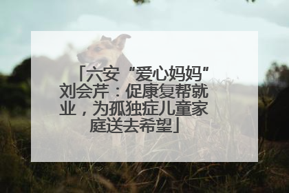 六安“爱心妈妈”刘会芹：促康复帮就业，为孤独症儿童家庭送去希望
