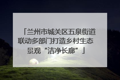 兰州市城关区五泉街道联动多部门打造乡村生态景观“洁净长廊”