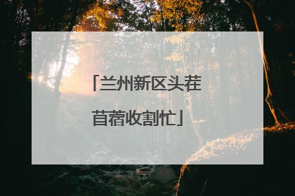 兰州新区头茬苜蓿收割忙