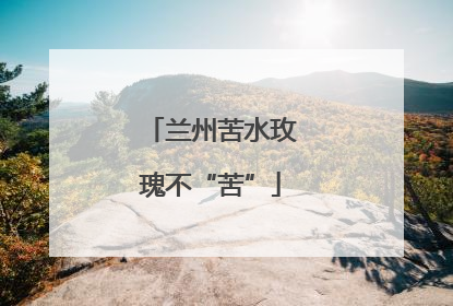 兰州苦水玫瑰不“苦”