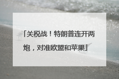 关税战！特朗普连开两炮，对准欧盟和苹果