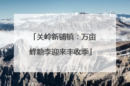 关岭新铺镇：万亩蜂糖李迎来丰收季