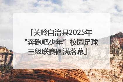 关岭自治县2025年“奔跑吧少年”校园足球三级联赛圆满落幕