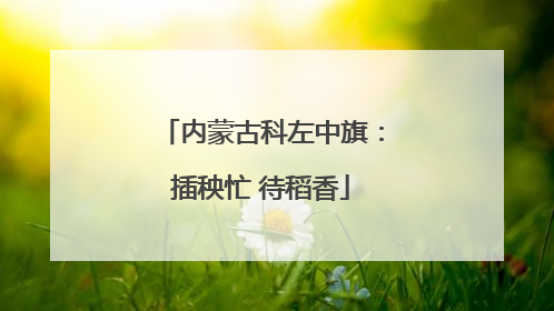 内蒙古科左中旗：插秧忙 待稻香