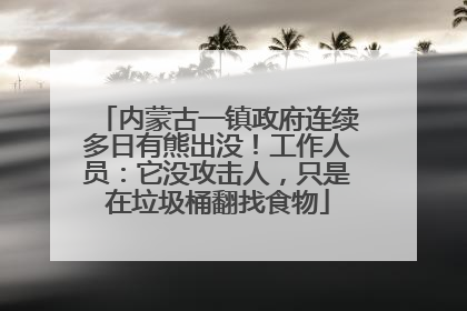 内蒙古一镇政府连续多日有熊出没！工作人员：它没攻击人，只是在垃圾桶翻找食物